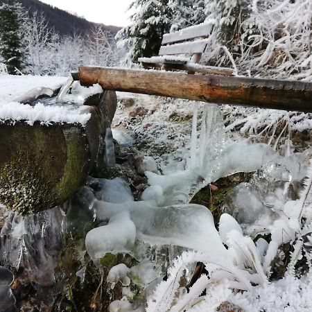 Ferienwohnung Schmaranzer Gosau Bagian luar foto