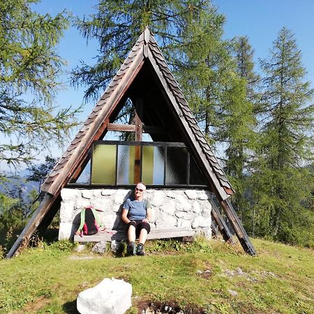 Ferienwohnung Schmaranzer Gosau Bagian luar foto