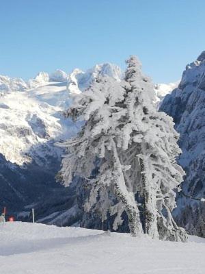 Ferienwohnung Schmaranzer Gosau Bagian luar foto