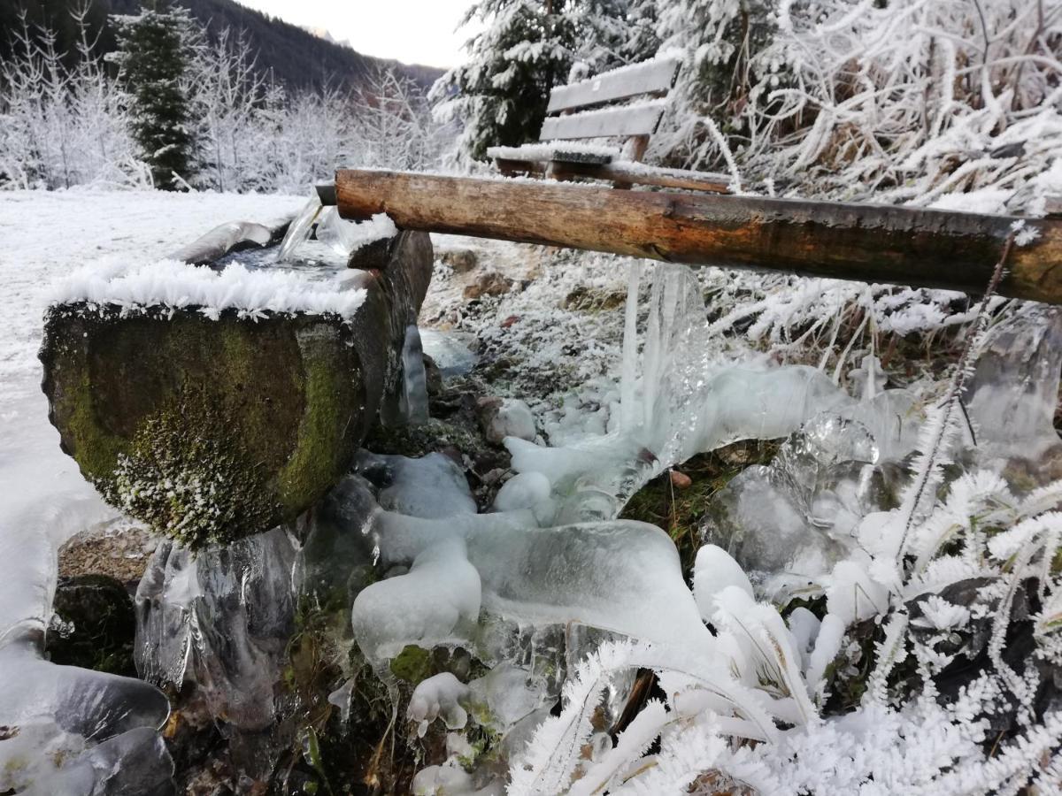 Ferienwohnung Schmaranzer Gosau Bagian luar foto