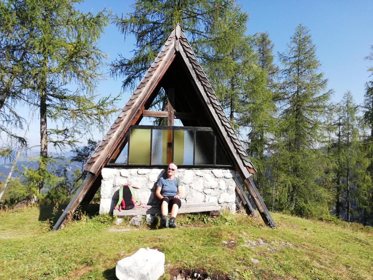 Ferienwohnung Schmaranzer Gosau Bagian luar foto