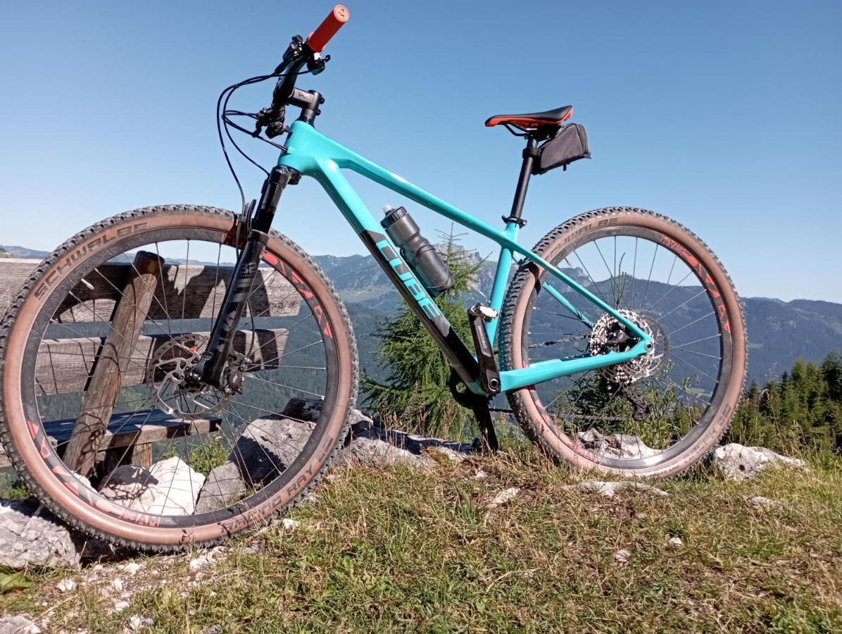 Ferienwohnung Schmaranzer Gosau Bagian luar foto