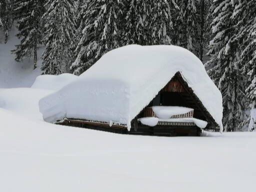 Ferienwohnung Schmaranzer Gosau Bagian luar foto