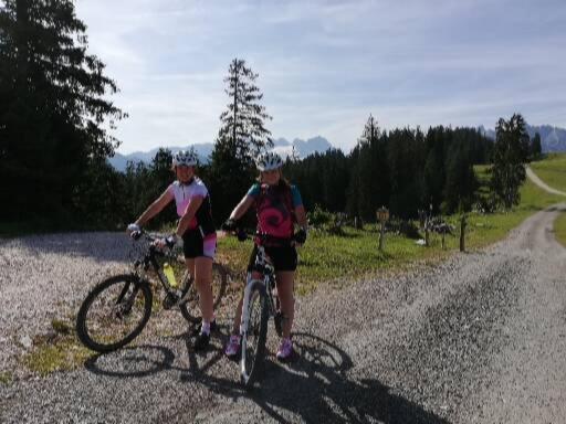 Ferienwohnung Schmaranzer Gosau Bagian luar foto