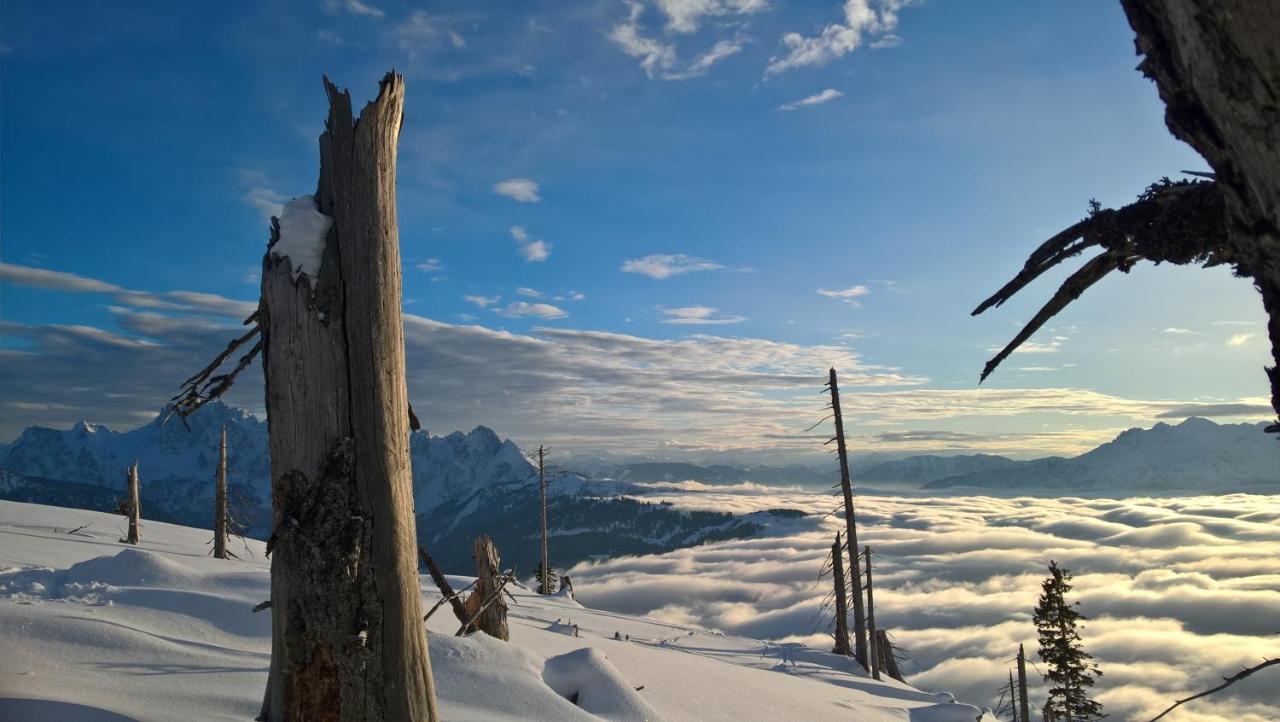 Ferienwohnung Schmaranzer Gosau Bagian luar foto