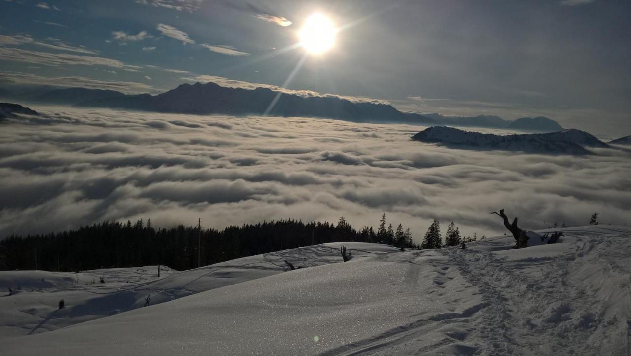 Ferienwohnung Schmaranzer Gosau Bagian luar foto
